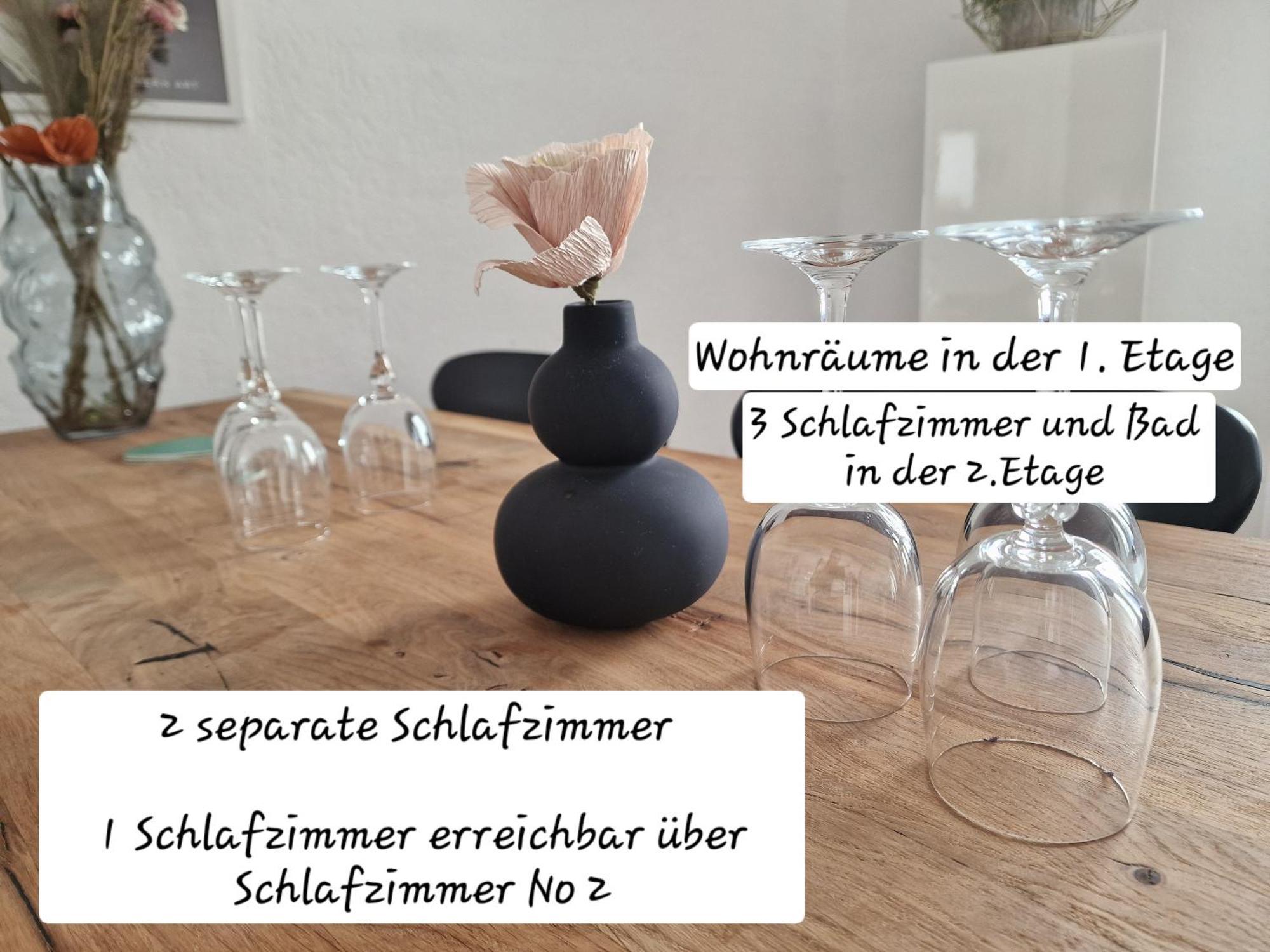 Das Rote Ferienhaus Terlinden Лизер Экстерьер фото