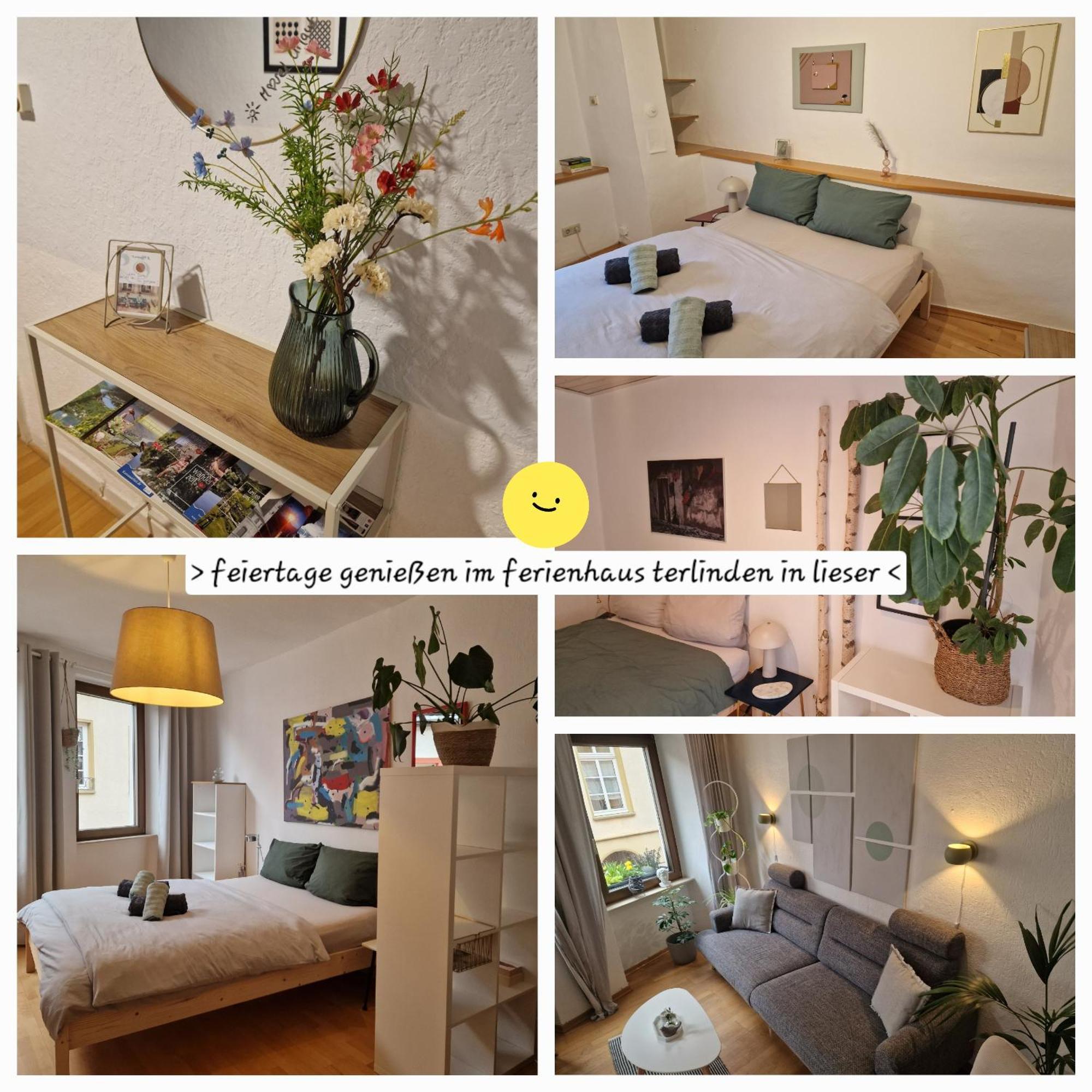 Das Rote Ferienhaus Terlinden Лизер Экстерьер фото